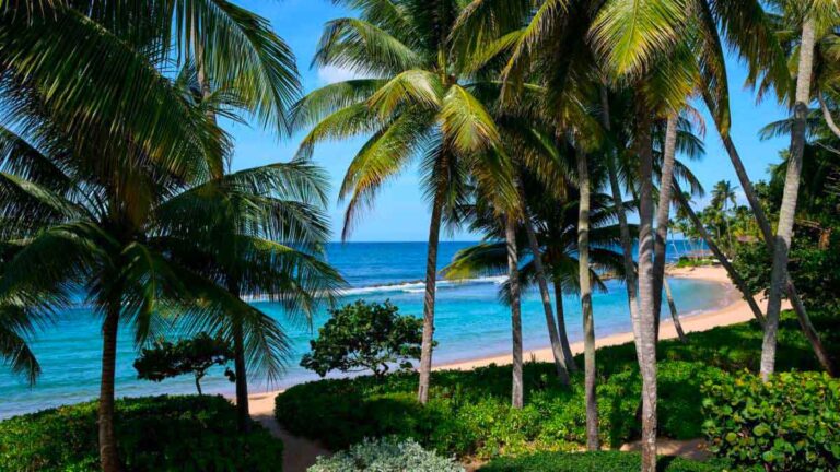 Dorado Beach, A Ritz-Carlton Reserve