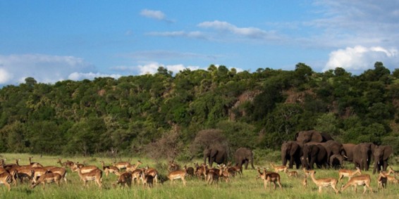 Singita Lebombo Lodge